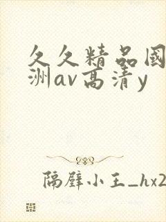 久久精品国产亚洲av高清y