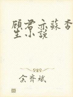 顾君亦苏杳国防生小说