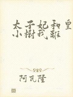 太子妃和皇上在小树我离封面