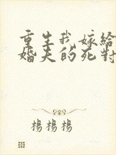 重生我嫁给了未婚夫的死对头