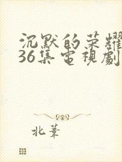 沉默的荣耀1—36集电视剧在线观看