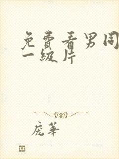 免费看男同性恋一级片封面