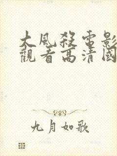 大风杀电影免费观看高清国语