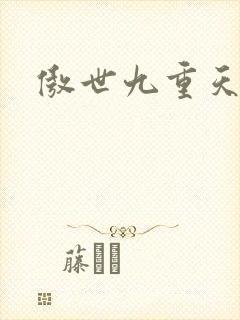 傲世九重天小说