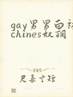 gay男男白袜chines奴调封面