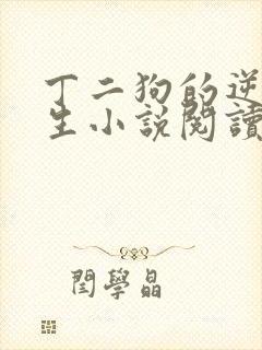 丁二狗的逆袭人生小说阅读