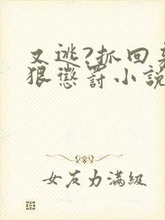 又逃?抓回来狠狠惩罚小说免费阅读