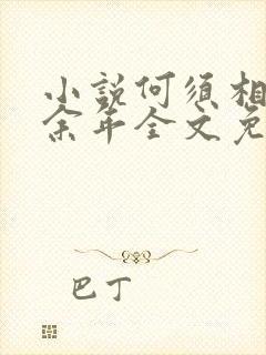 小说何须相思煮余年全文免费阅读