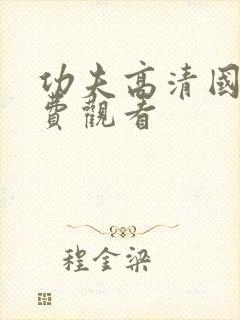 功夫高清国语免费观看