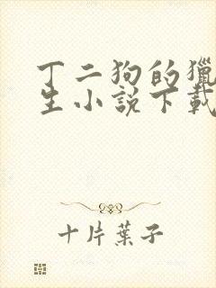 丁二狗的猎艳人生小说下载