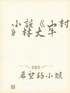 小说《山村情事》林大牛