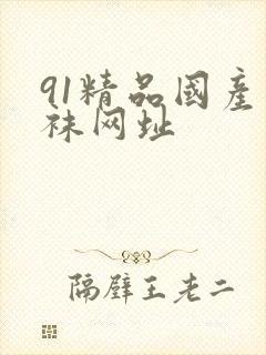 91精品国产丝袜网址