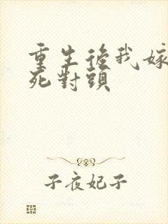 重生后我嫁给了死对头