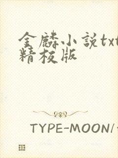 金麟小说txt精校版