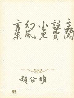 玄幻小说主人公叶风免费阅读