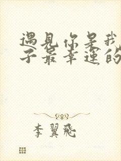 遇见你是我这辈子最幸运的事情封面