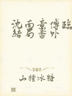 沈南意傅临洲大结局番外