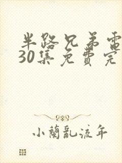 半路兄弟电视剧30集免费完整版