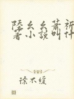 陆幺幺萧祈之原著小说叫什么