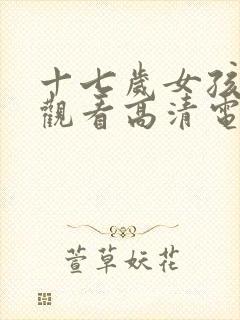 十七岁女孩免费观看高清电视剧韩剧网封面