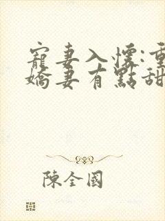 宠妻入怀:重生娇妻有点甜 小说