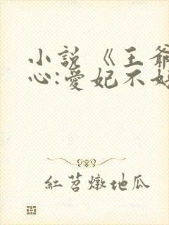 小说 《王爷当心:爱妃不好惹》