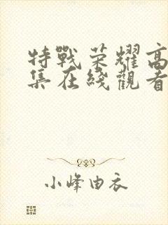 特战荣耀高清全集在线观看封面