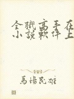 全职高手在哪个小说软件上可以看