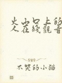 火山口上的两个人在线观看