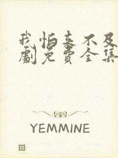 我怕来不及电视剧免费全集