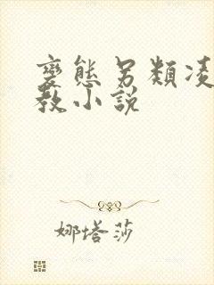 变态另类凌虐调教小说封面