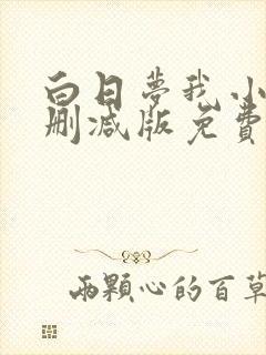 白日梦我小说未删减版免费阅读