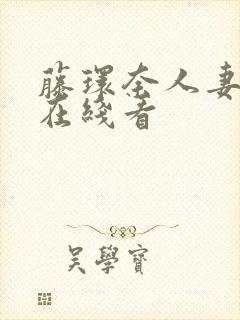 藤环奈人妻秘书在线看封面