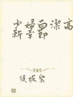 少妇白洁高义最新章节