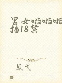 男女啪啪啪无遮挡18禁