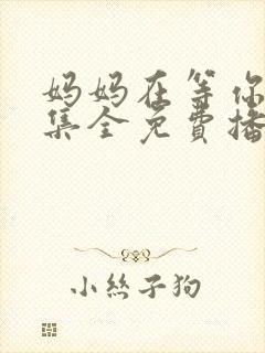 妈妈在等你47集全免费播放电视剧