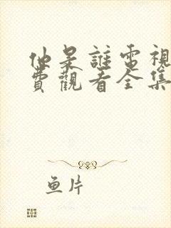 他是谁电视剧免费观看全集高清