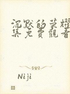 沉默的荣耀40集免费观看全集高清版