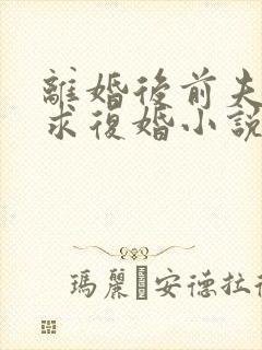 离婚后前夫哭着求复婚小说完本免费阅读