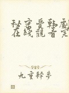 秘密爱韩剧电影在线观看完整版封面