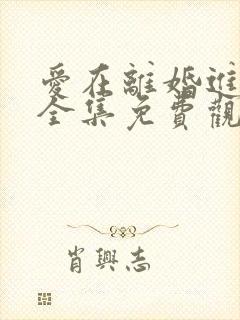 爱在离婚进行时全集免费观看