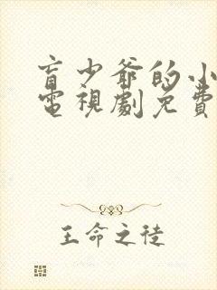 盲少爷的小女仆电视剧免费完整版