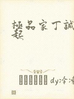 极品家丁诚王崛起封面