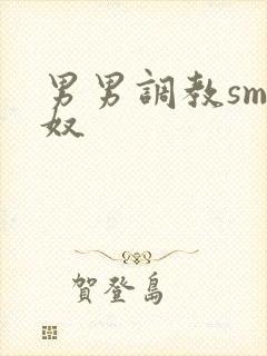 男男调教sm男奴封面