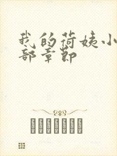 我的荷姨小说全部章节