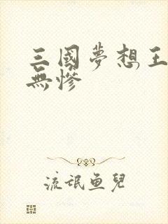 三国梦想王元姬无惨