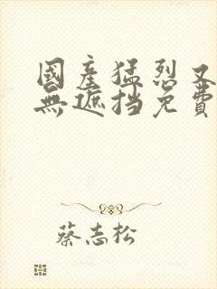 国产猛烈又爽又无遮挡免费