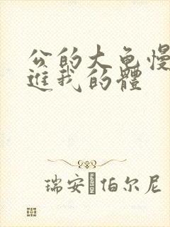 公的大龟慢慢挺进我的体