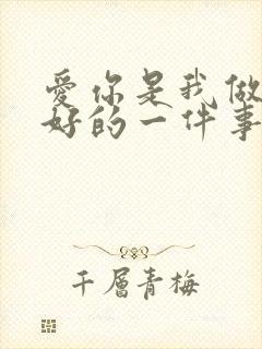 爱你是我做过最好的一件事