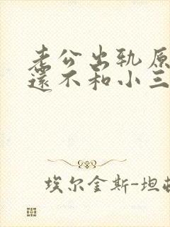 老公出轨原谅他还不和小三断封面